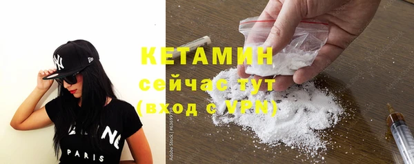 крисы Новодвинск