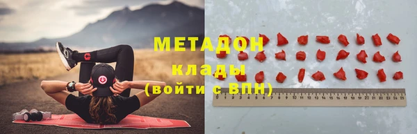 крисы Новодвинск