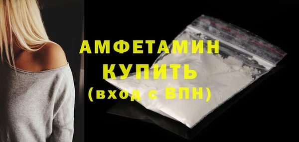 крисы Новодвинск