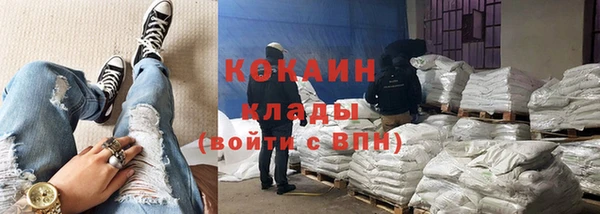 крисы Новодвинск