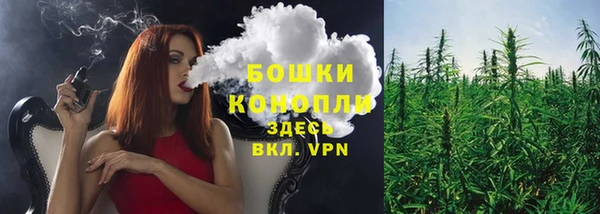 дурь Новозыбков